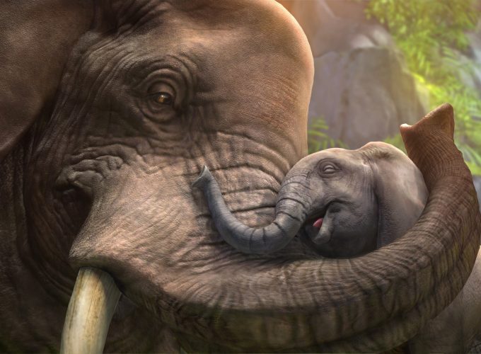 Wallpaper Elephant, cub, zoo tycoon, animals, grey, art, tourism, Animals 311602402